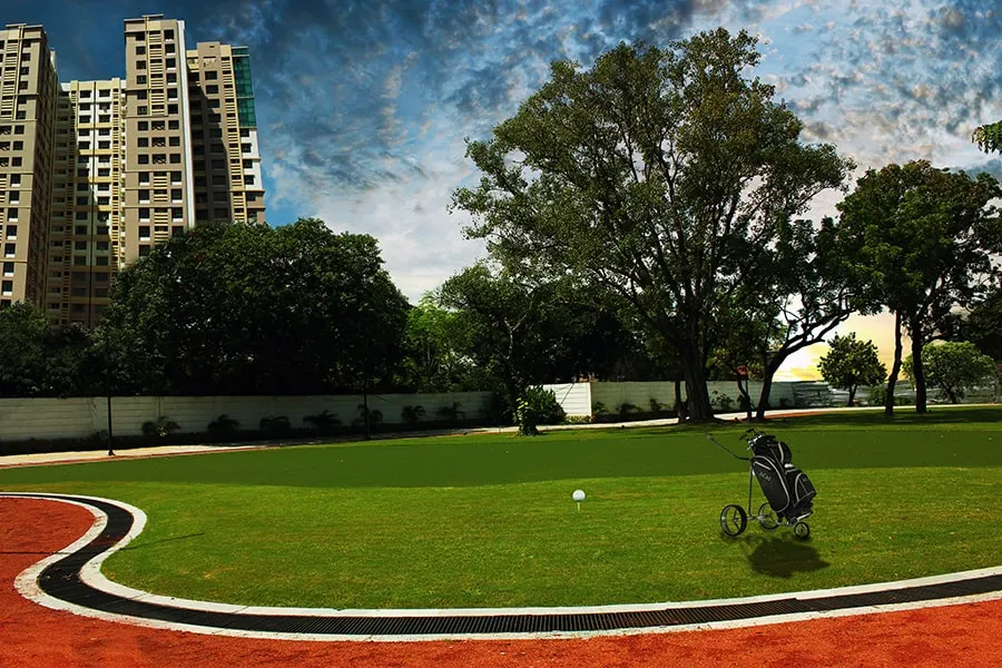 Largest Land Area Compared to Others Image - Journey Through Active Acres